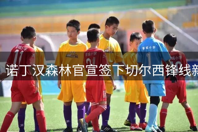 诺丁汉森林官宣签下切尔西锋线新星德拉普